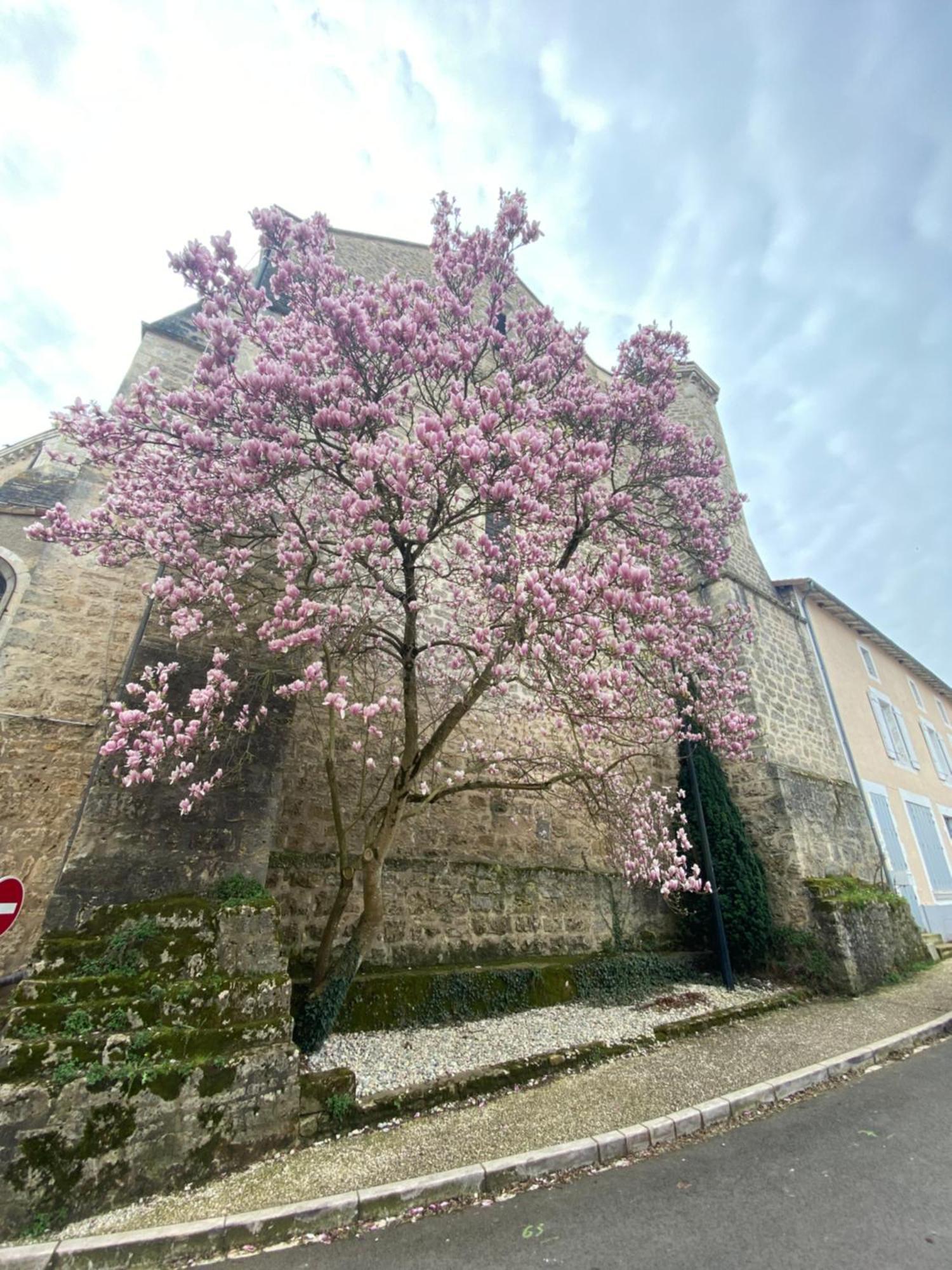 Logis Hotel Le Saint Georges Vivonne Exterior photo